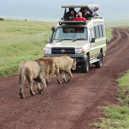 Tailor Made Tanzania Safari Itinerary 2026 - 2027