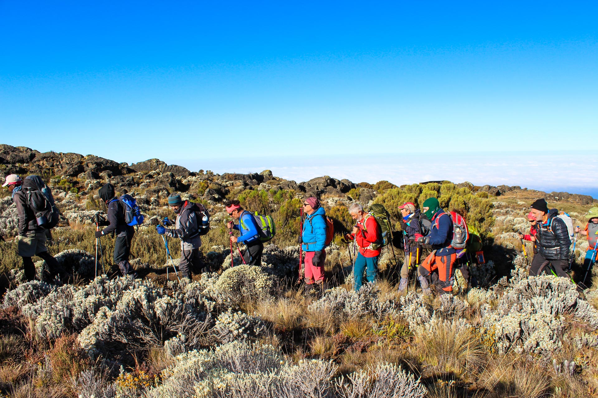 Best Successful 7-Day Kilimanjaro Umbwe Route 2026-2027