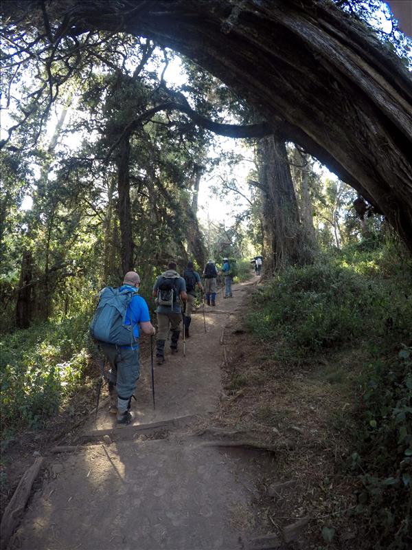 8-Day Northern Circuit Route - Trekking To Kilimanjaro Guide In 2026-2027