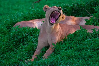 Serengeti National Park