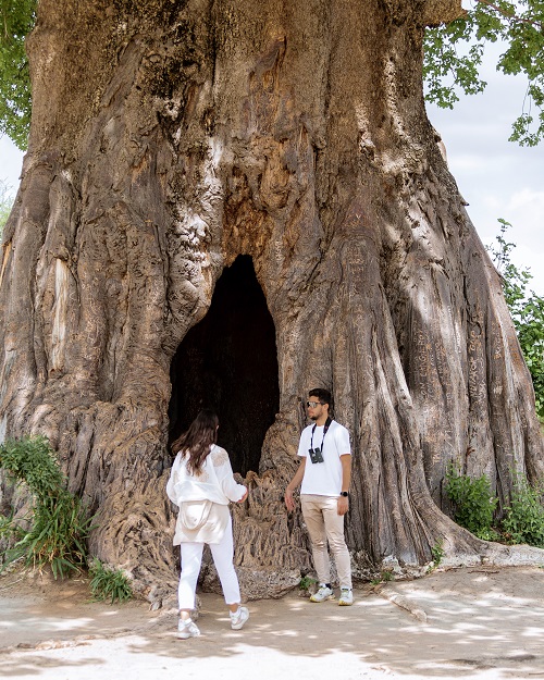 spotted during 4-day private safari in Lake Manyara National Tanzania for 2026/2027