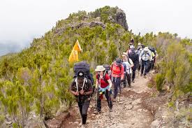  Best 5 Days Marangu Route Kilimanjaro Hiking Tour In 2026 - 2027