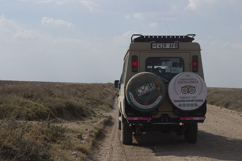 big 5 safari tanzania