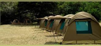 4-Day Serengeti Private safaris from Zanzibar