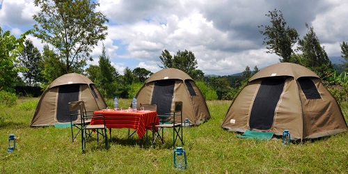4-Day Serengeti Private safaris from Zanzibar
