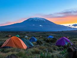5 Days Group Mid-Range Kilimanjaro Climb via Umbwe Route In 2026-2027