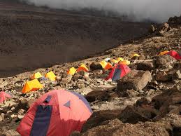 Best 8 Days Lemosho Route - Kilimanjaro Climbing Tour & Success Rates In 2026-2027
