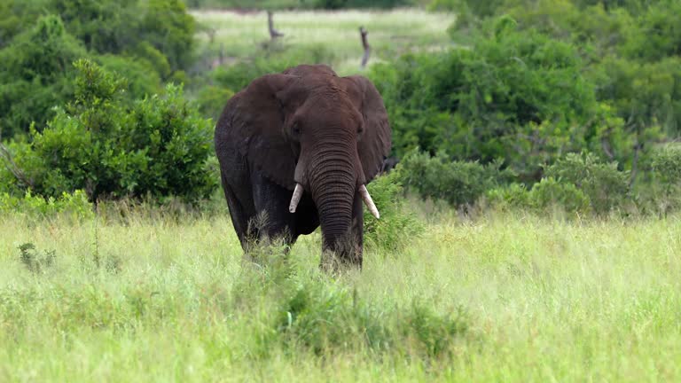 Crater spotted during 4-day private safari in Serengeti National Park Tanzania