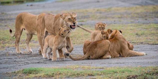 Serengeti National Park