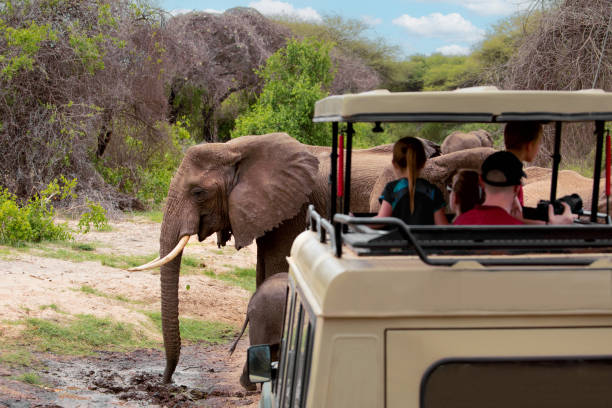 Lake Manyara Tree Climbing Lions Safari Tour 2026 - 2027