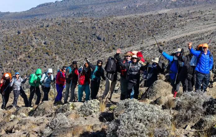  6 Days Kilimanjaro Climbing Tour Via Lemosho Route For 2026-2027
