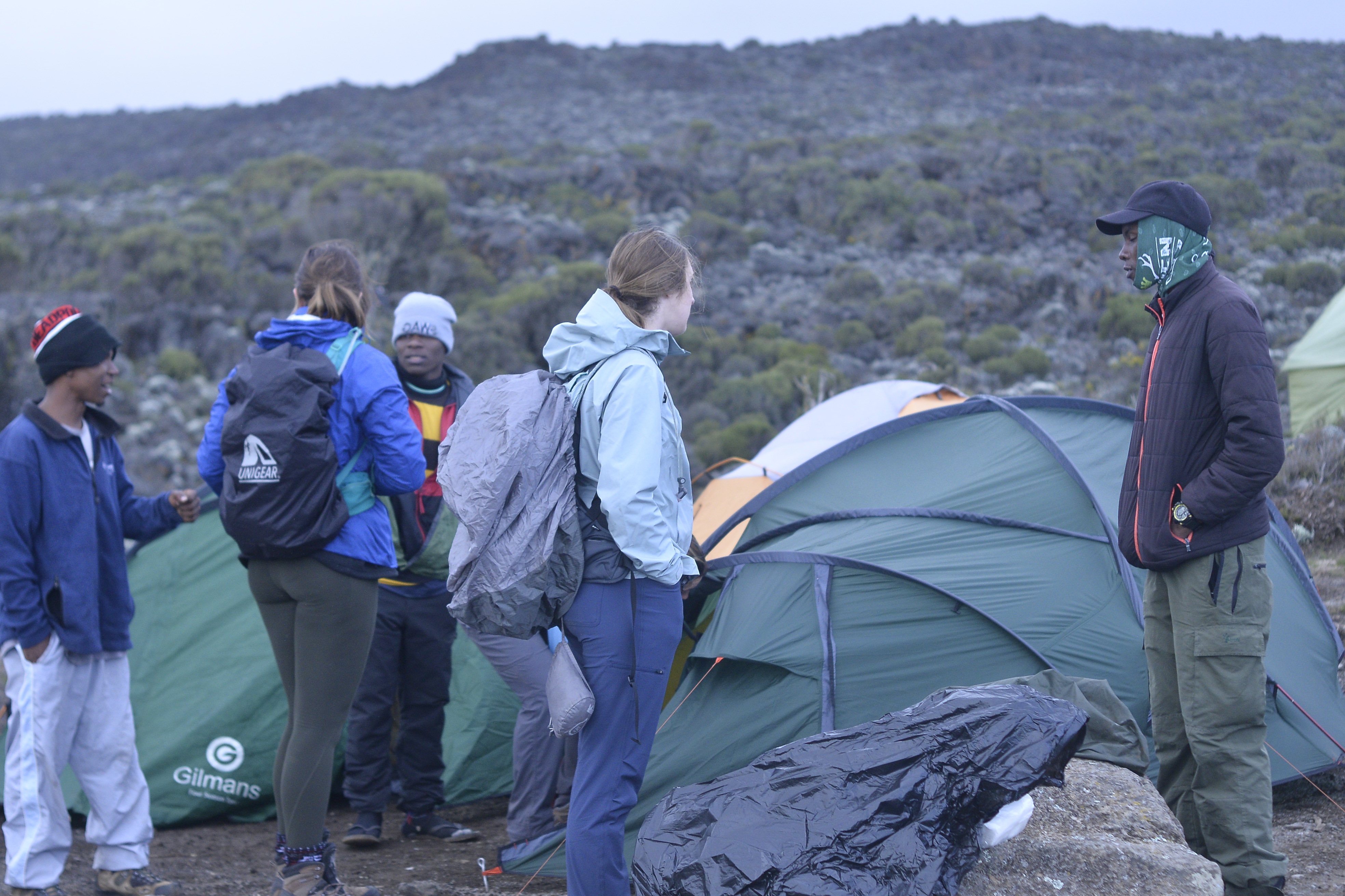  6 Days Kilimanjaro Climbing Tour Via Lemosho Route For 2026-2027