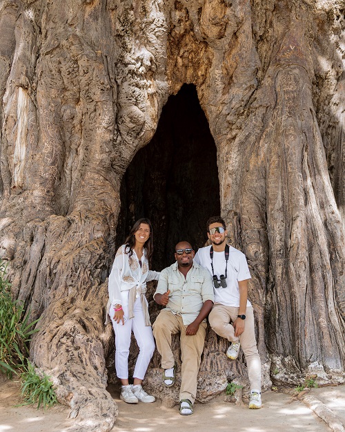 2 Days Tanzania group Joining Safari Tour for 2026/2027