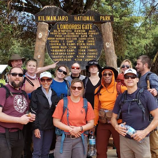  Best 8 Days Lemosho Route - Kilimanjaro Climbing Tour & Success Rates In 2026-2027