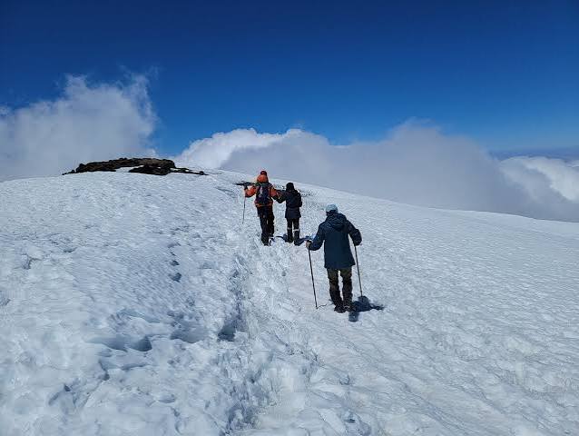 Best 8 Days Lemosho Route - Kilimanjaro Climbing Tour & Success Rates In 2026-2027