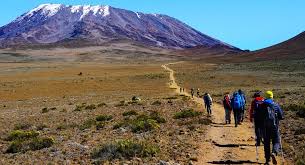 Best 8 Days Lemosho Route - Kilimanjaro Climbing Tour & Success Rates In 2026-2027