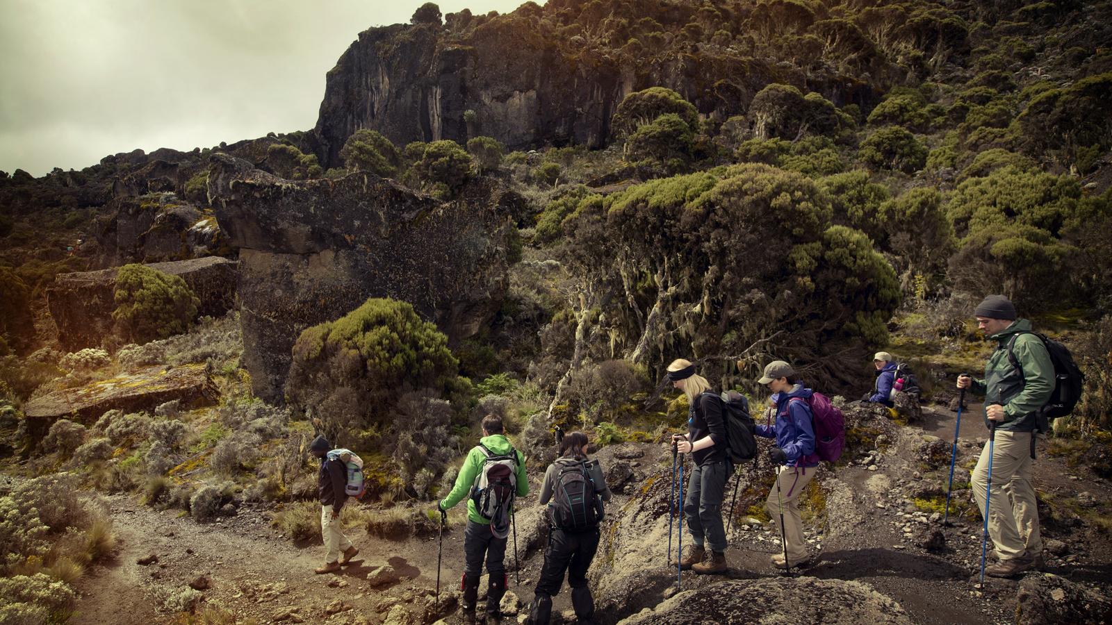  5 Days Trekking Tour Kilimanjaro - Machame Route In 2026-2027
