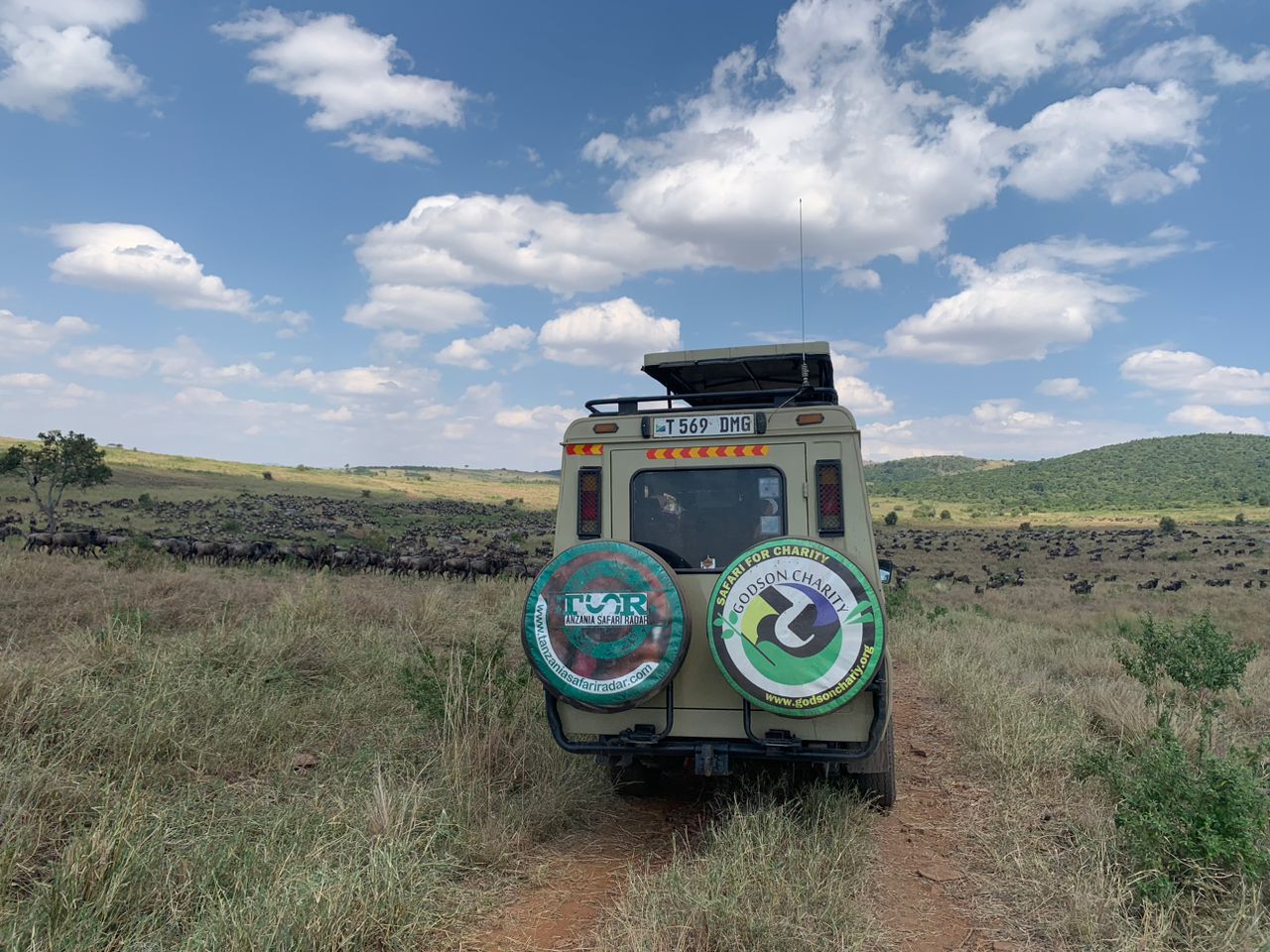  best tie to Great Migration Safari