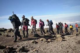 6 Days Kilimanjaro Climbing Tour Via Lemosho Route For 2026-2027