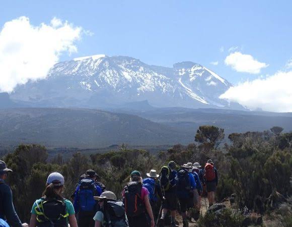 Ultimate 7 Days Lemosho Route Trekking Safari Tour In 2026 - 2027