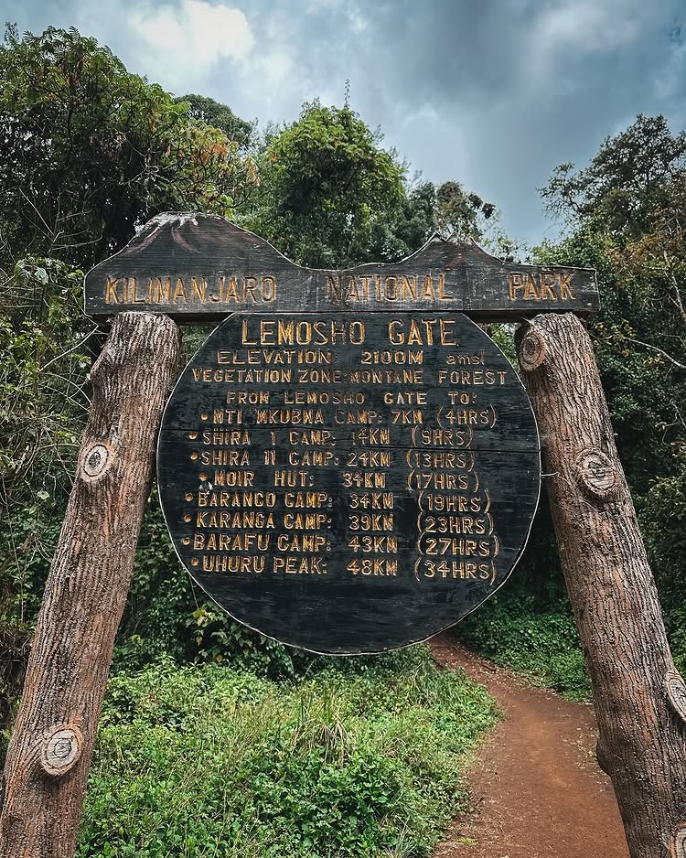 8-Day Northern Circuit Route - Trekking To Kilimanjaro Guide In 2026-2027