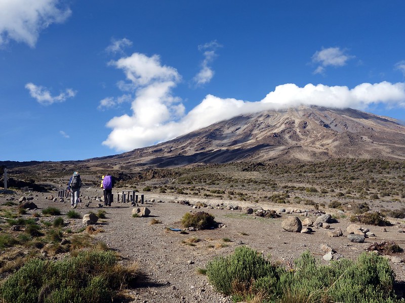 8-Day Northern Circuit Route - Trekking To Kilimanjaro Guide In 2026-2027