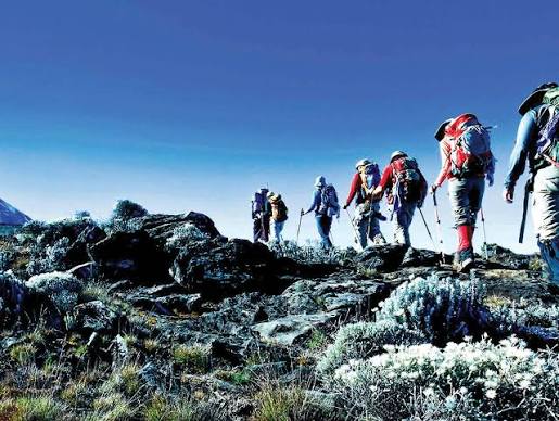 6 Days of Magic to the Roof of Africa via Marangu Route 2026 - 2027