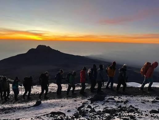 Best 8 Days Lemosho Route - Kilimanjaro Climbing Tour & Success Rates In 2026-2027