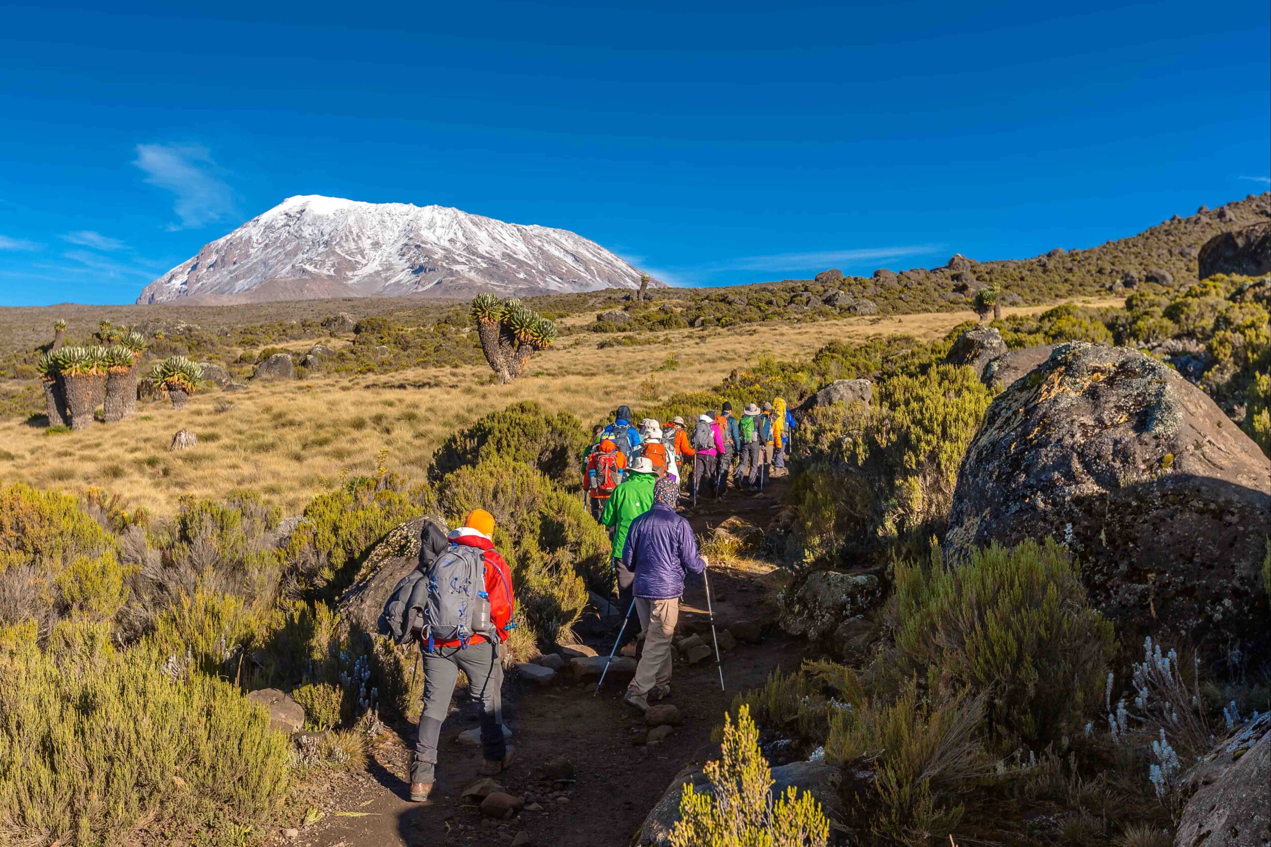 8-Day Northern Circuit Route - Trekking To Kilimanjaro Guide In 2026-2027