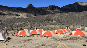 Best 8 Days Lemosho Route - Kilimanjaro Climbing Tour & Success Rates In 2026-2027