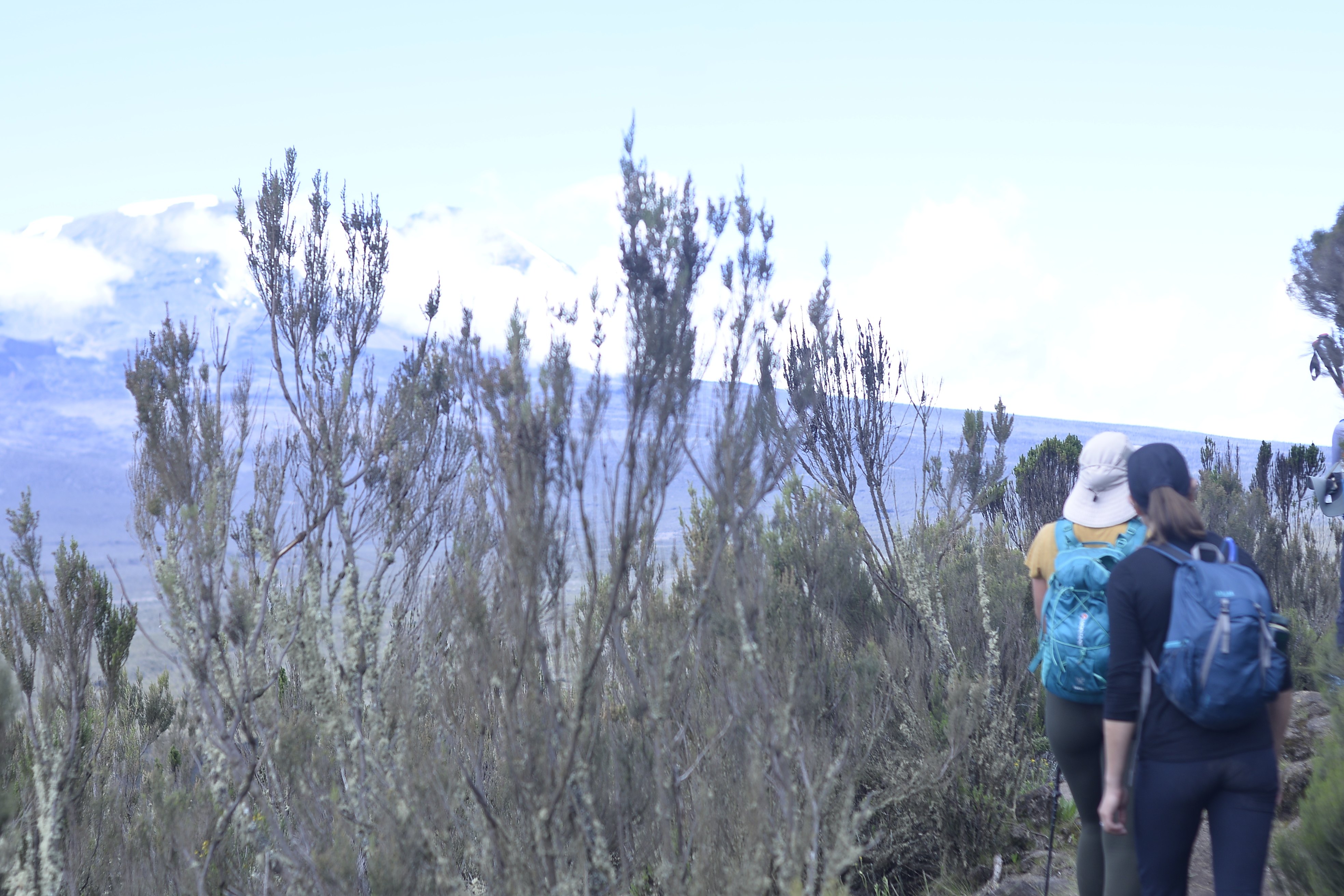 7-Day kilimanjaro Hiking Tour Via rongai Route For 2026-2027