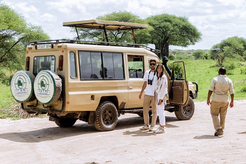 Safari Radar 4x4 Jeep in Tarangire National Park
