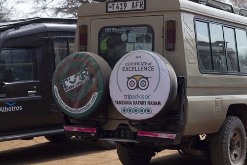 safari tour tanzania