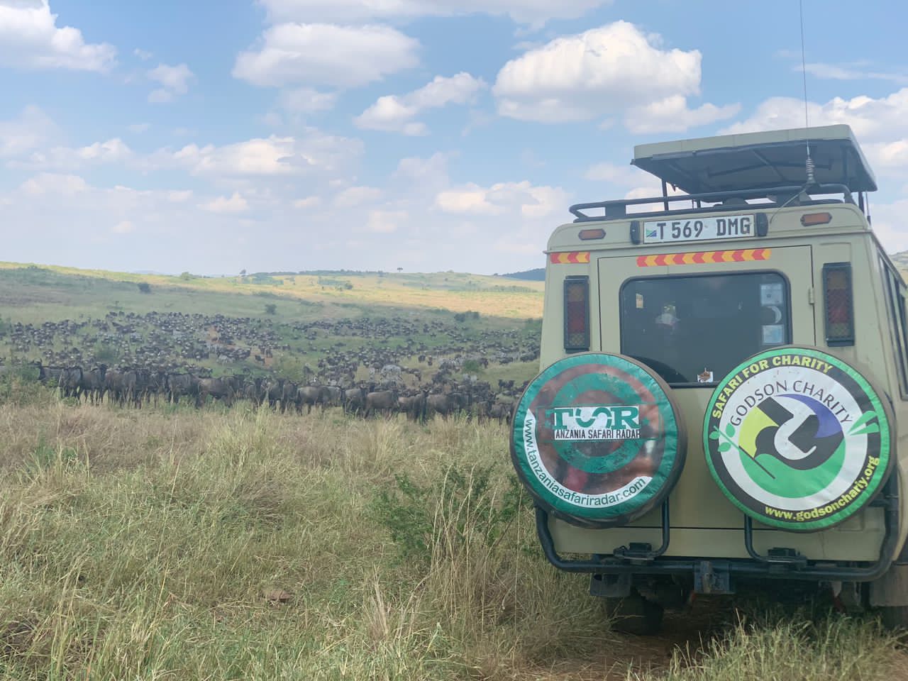 Available walking wildlife