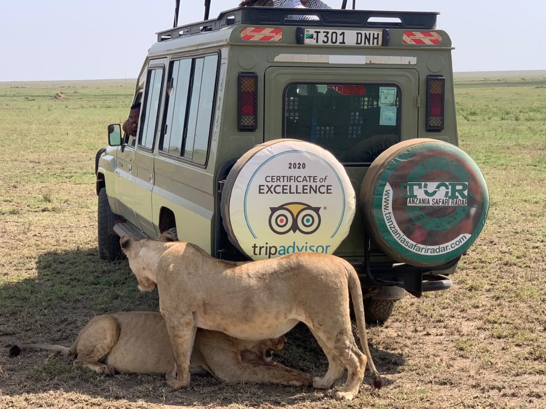 serengeti national park