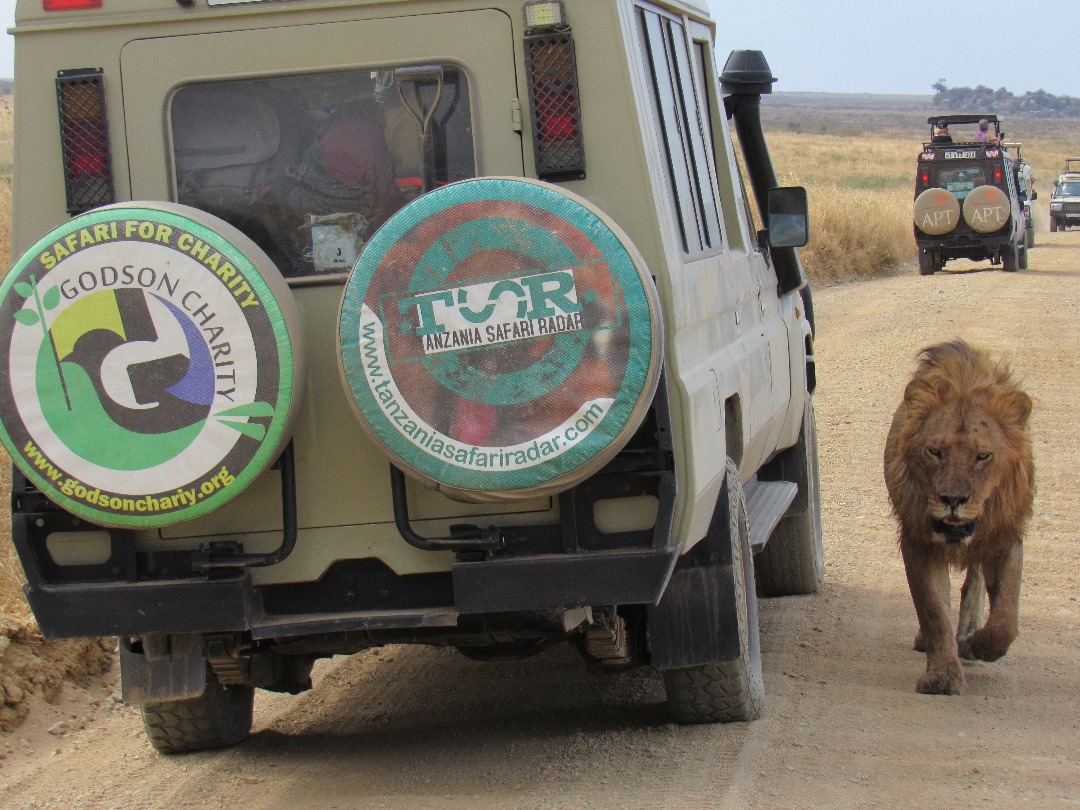 serengeti tanzania safari tour