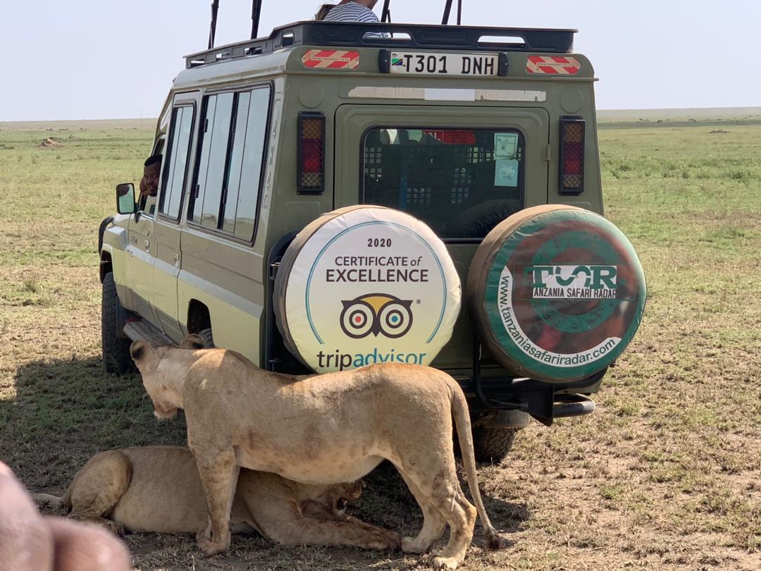 land cruser 4x4 safari jeep in the serengeti