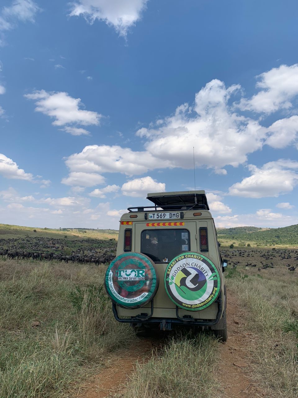 Best Safari Tour in mikumi national park